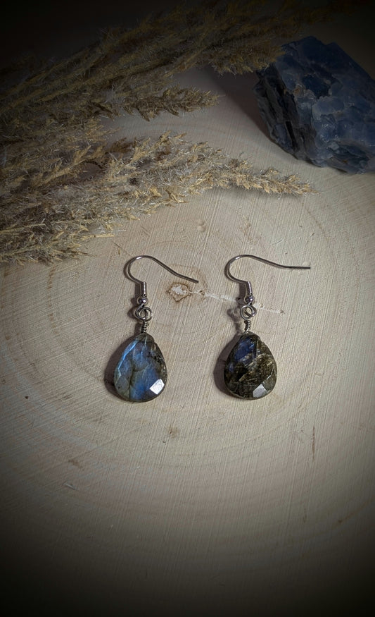 Faceted Labradorite Drop Earrings